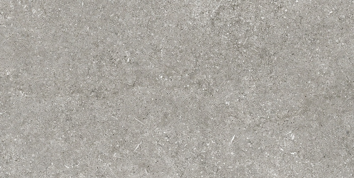 Керамогранит Magnum CDC Grey Fossil Naturale 6mm 60x120