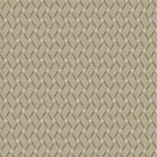 Флизелиновые обои Джоли 1x10.05