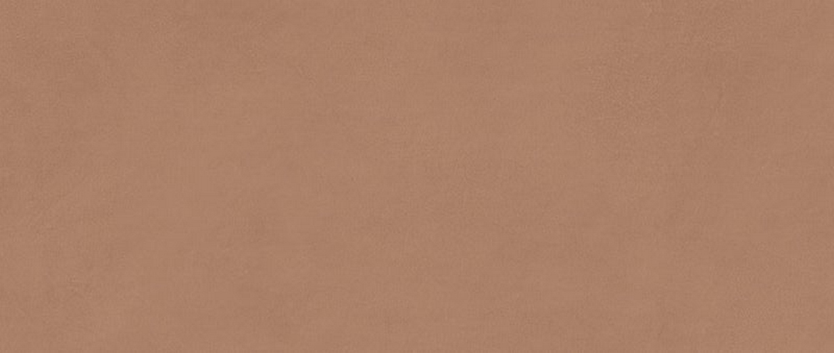  плитка Boost Expression Sienna 50x120