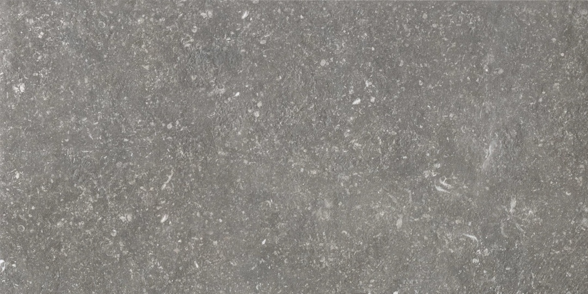 Керамогранит Atmospheres Atmospheres Charme Sable R10 30x60