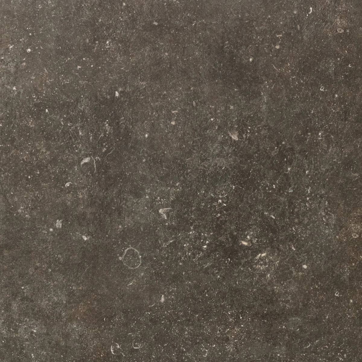 Керамогранит Atmospheres Atmospheres Desir Sable R10 80x80