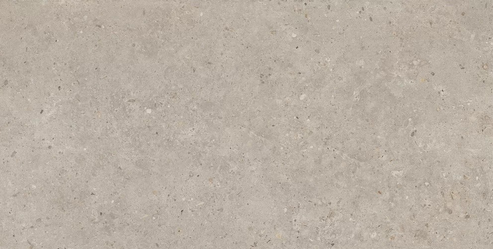 Керамогранит Риккарди Бежевый Матовый 60x119.5