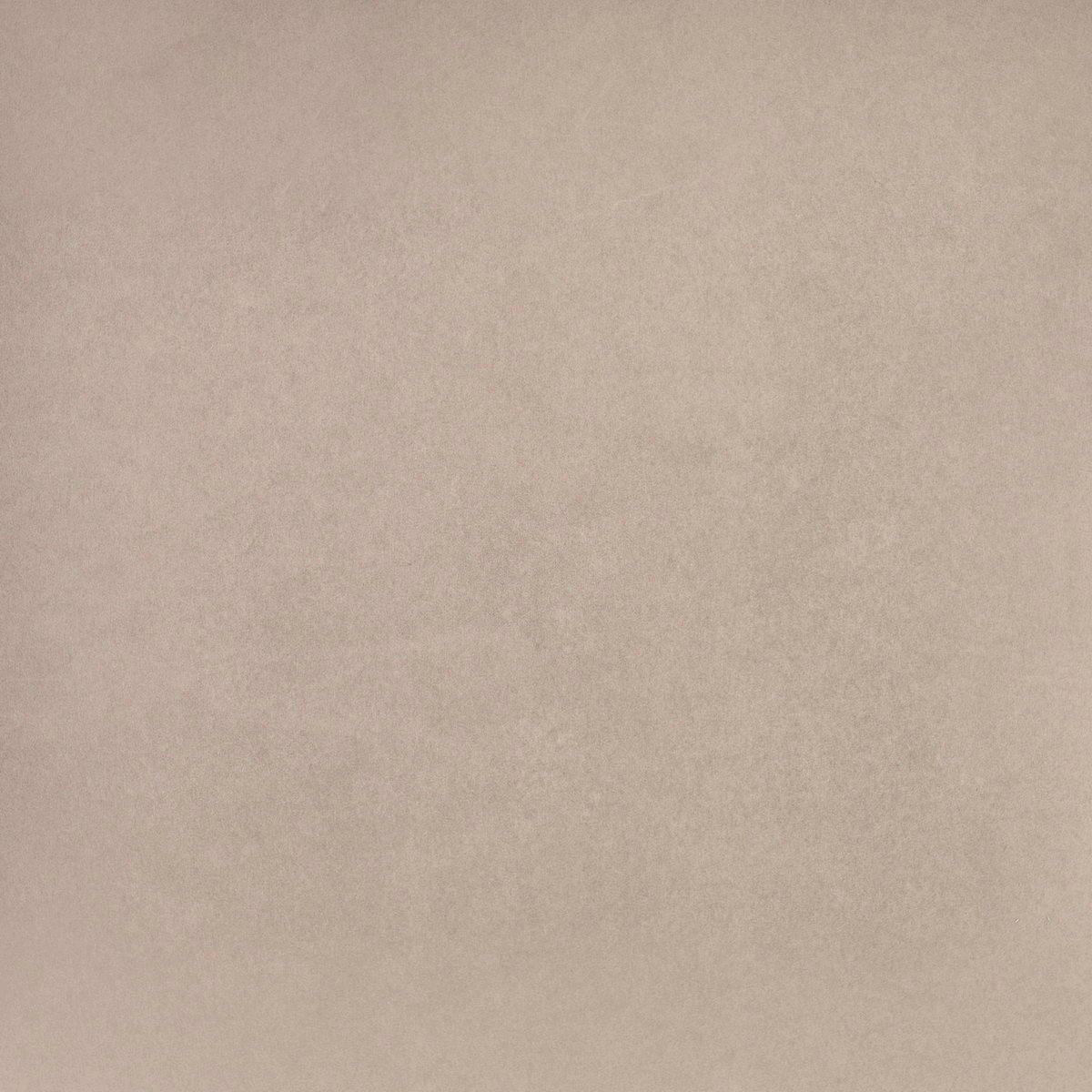  Левелс Бирч Матовый 20x20