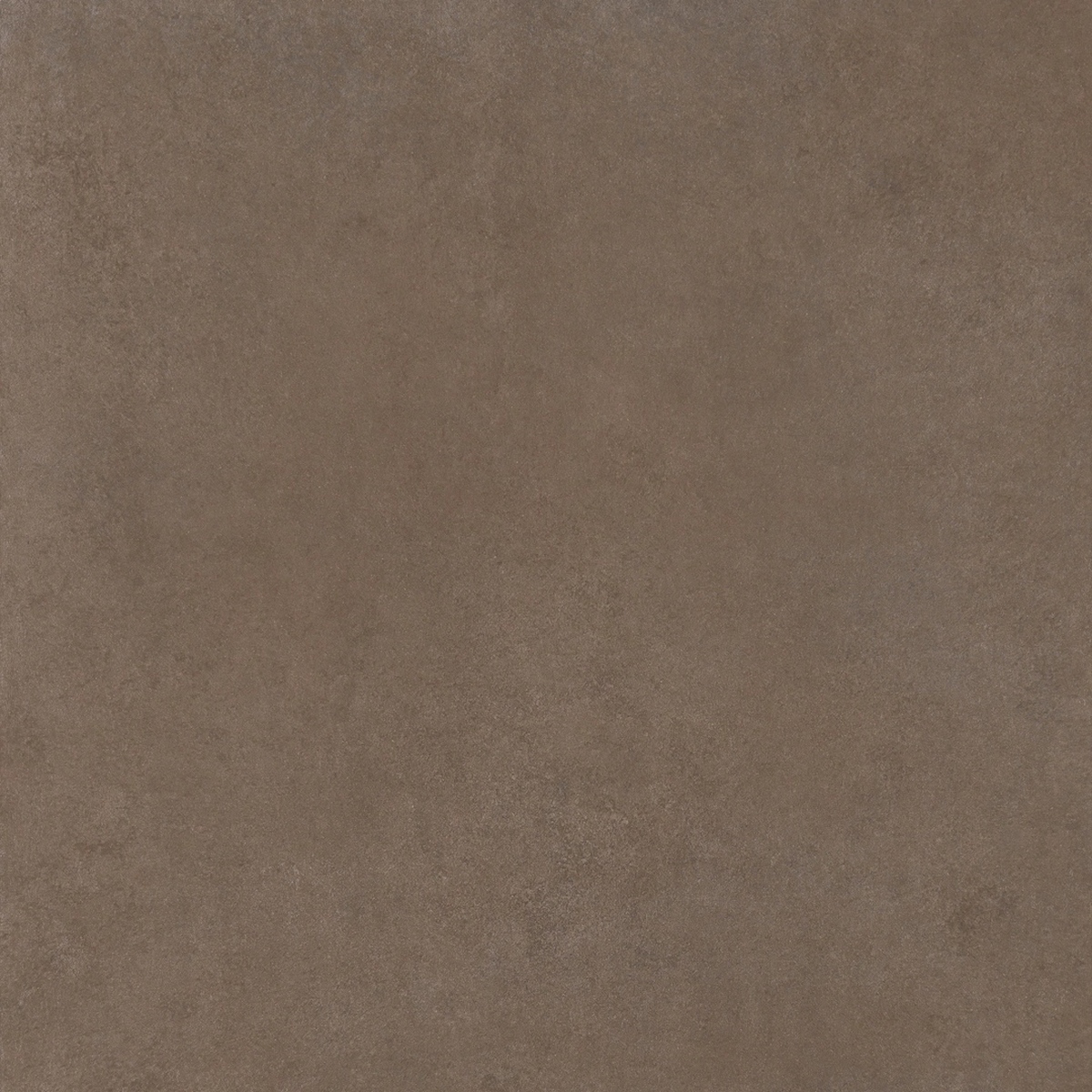 Керамогранит Easy Life Mushroom Silk Matte 120x120