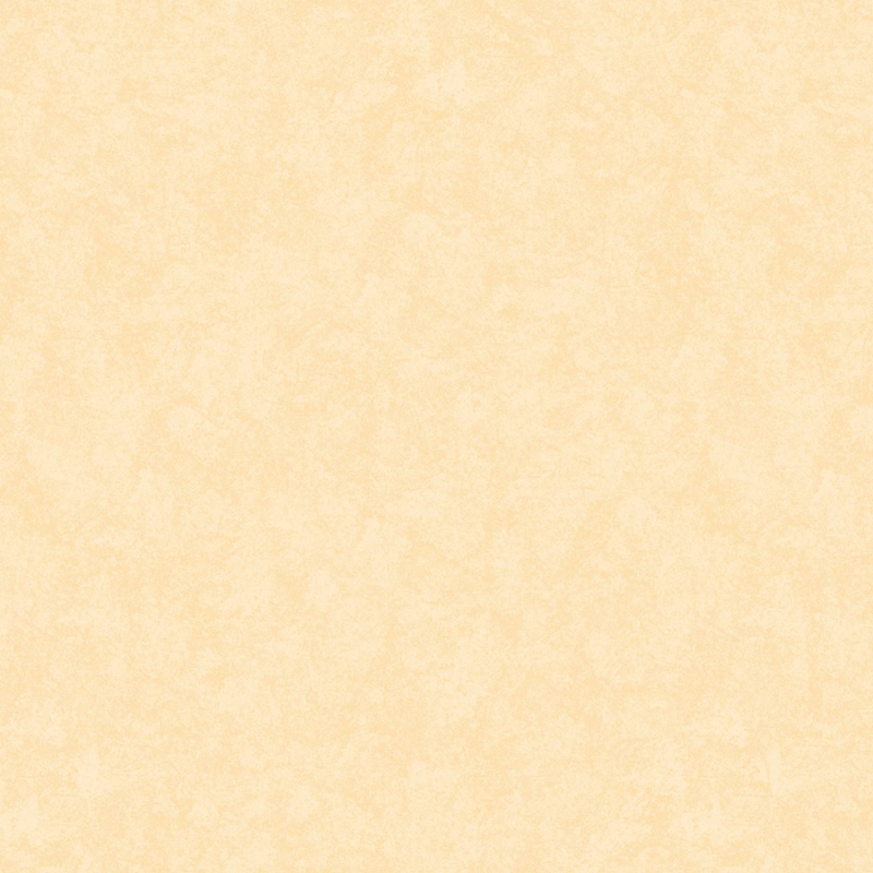 Флизелиновые обои Шейд 1x10.05