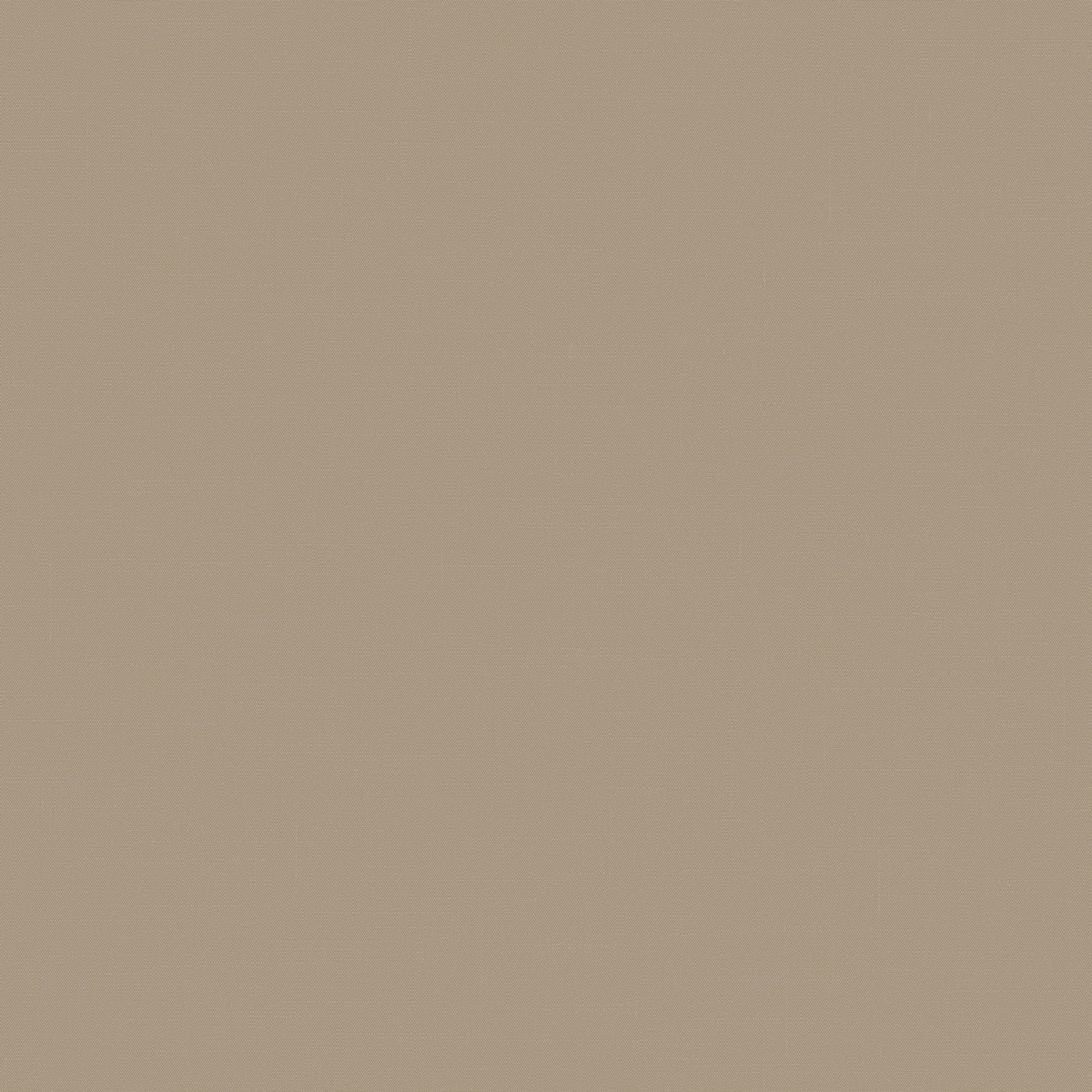 Флизелиновые обои Шервуд 1x10.05