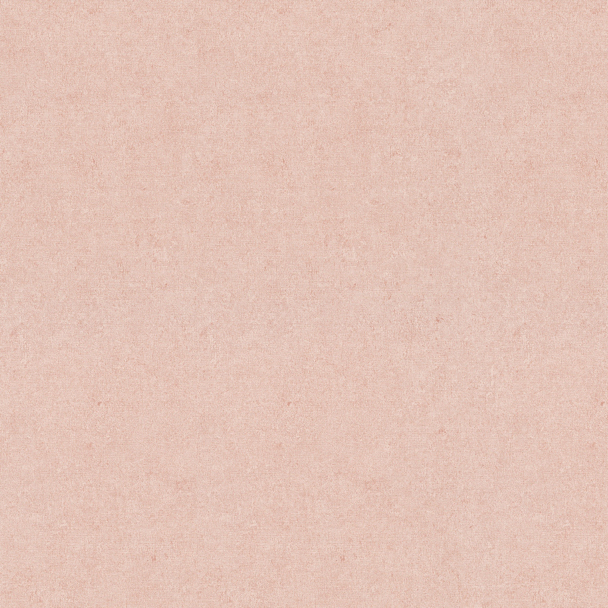 Виниловые обои Деликатный 1.06x10.05