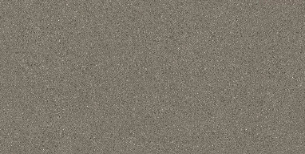  Джиминьяно Коричневый Матовый 60x119.5