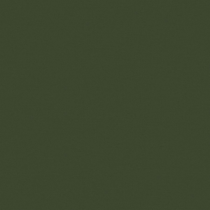 Флизелиновые обои Экватор 1x10.05