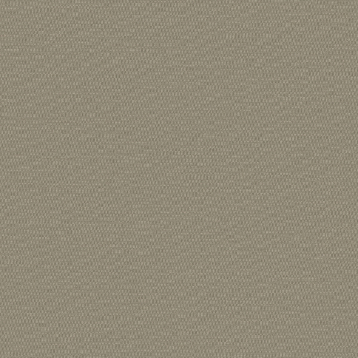 Флизелиновые обои Шервуд 1x10.05