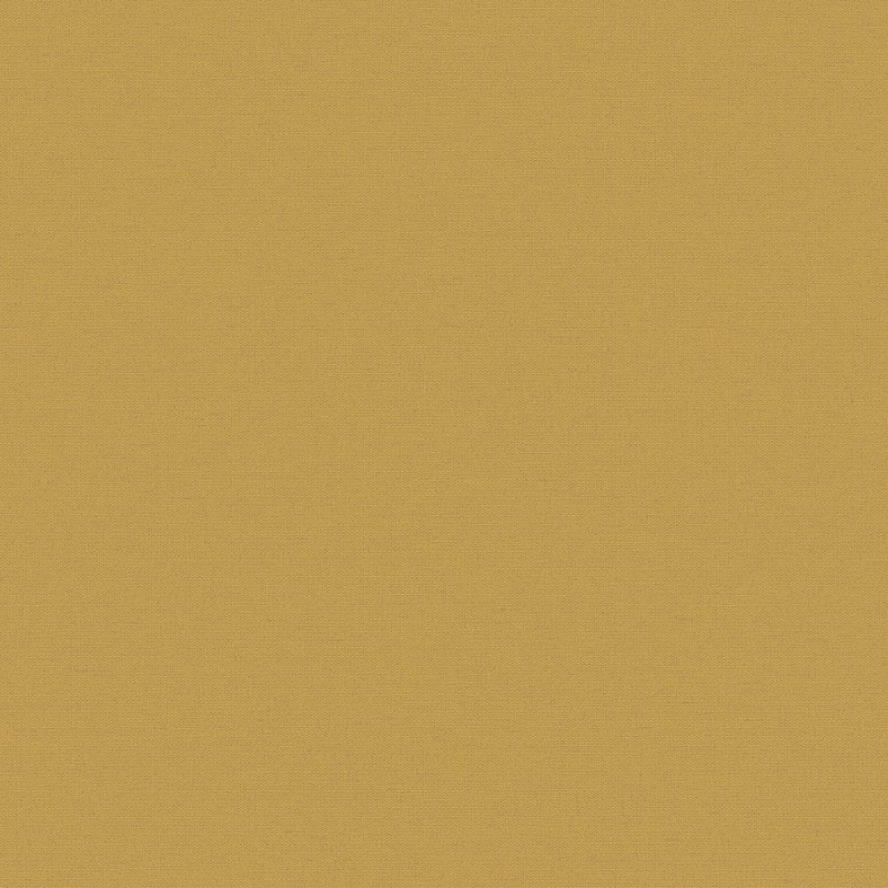 Флизелиновые обои Экватор 1x10.05