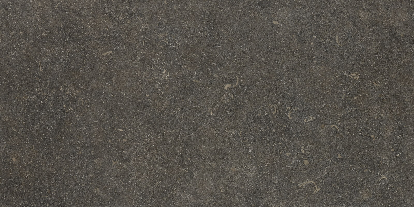 Керамогранит Oda Ода Классик Софт 59.8x119.8