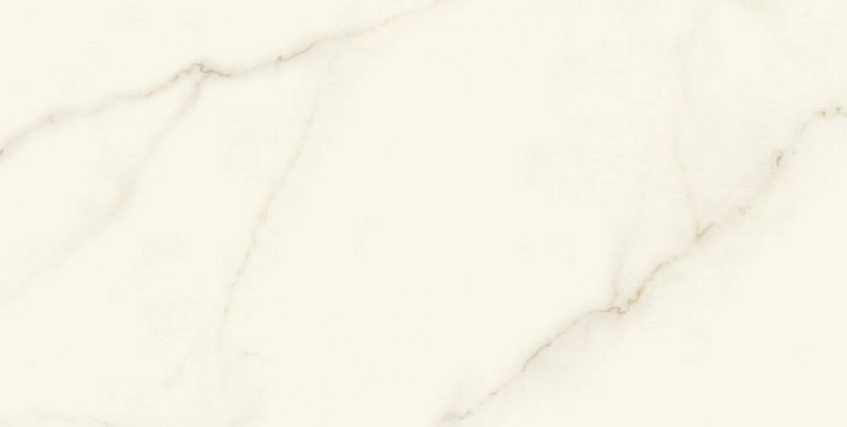  Marvel X Calacatta Apuano Matt 60x120