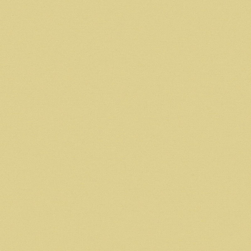 Флизелиновые обои Экватор 1x10.05