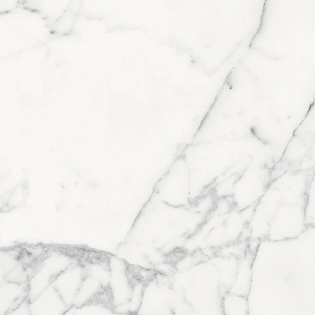  Les Origines De Rex Blanc Matte 60x60