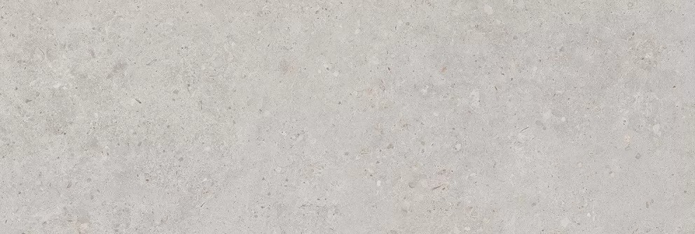 Керамическая плитка Риккарди Серый Светлый Матовый 40x120