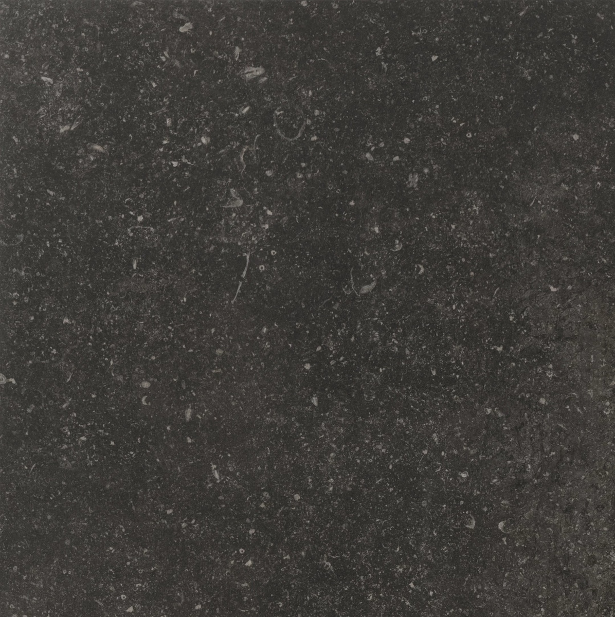 Керамогранит Atmospheres Atmospheres Mister Pat Smooth 60x60