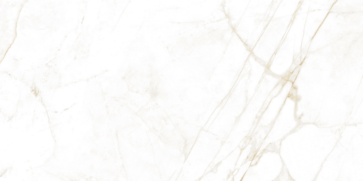 Керамогранит Dual White Nt 60x120