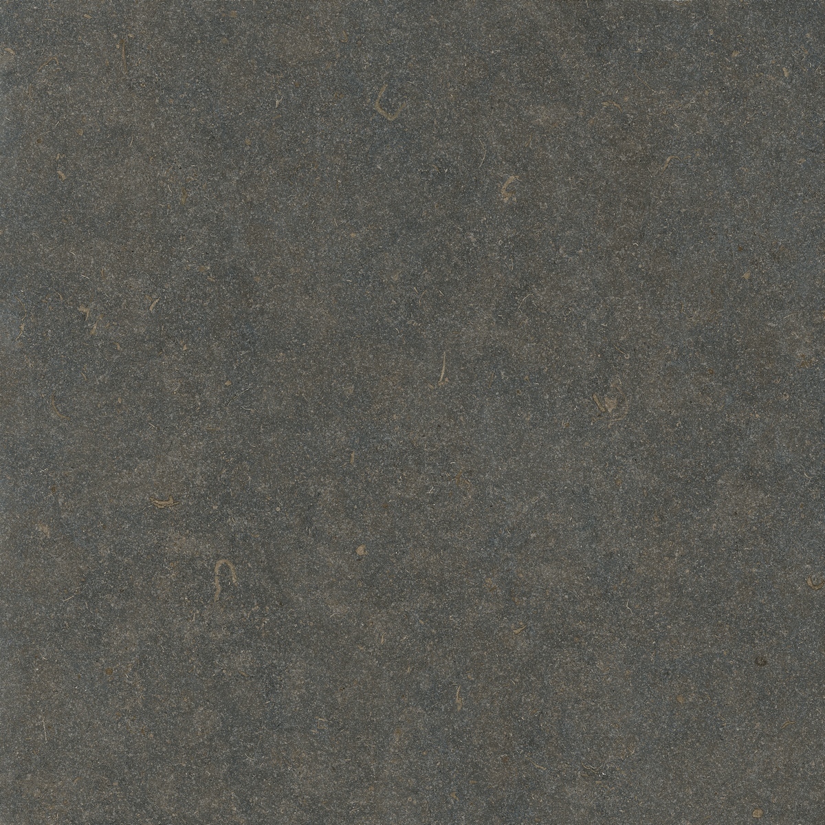 Керамогранит Oda Классик Хонед 119.8x119.8