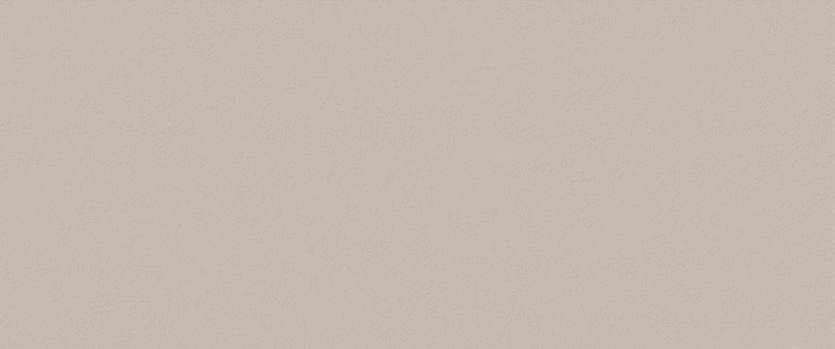 Керамическая плитка True Color Fossil 50x120