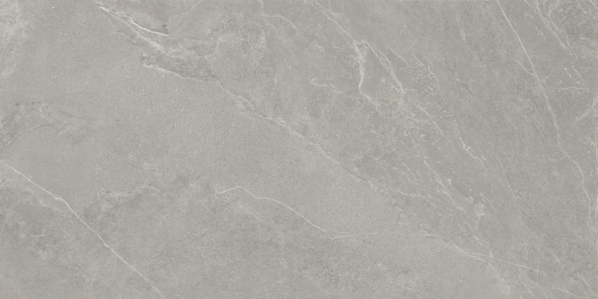 Керамогранит АрдэСтоун Серый Матовый 60x120