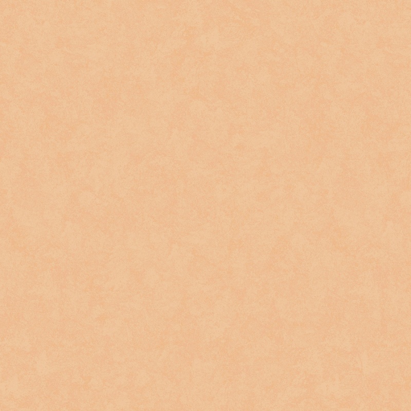 Флизелиновые обои Шейд 1x10.05