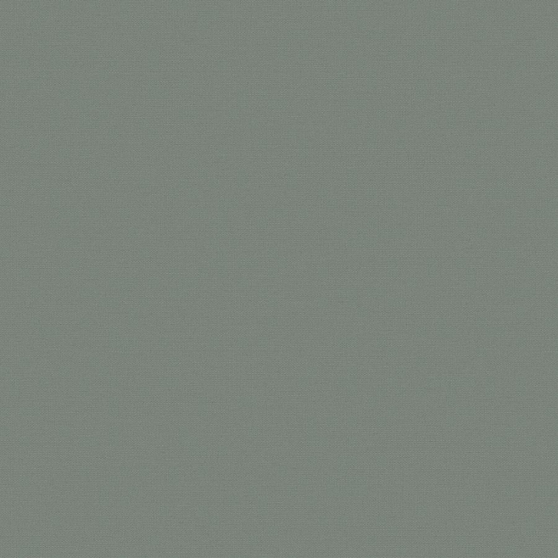 Флизелиновые обои Экватор 1x10.05