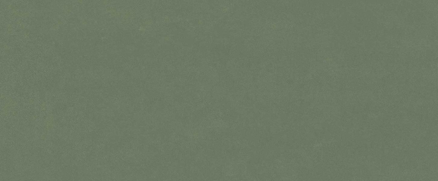  плитка Серфейс Форест Грин 50x120