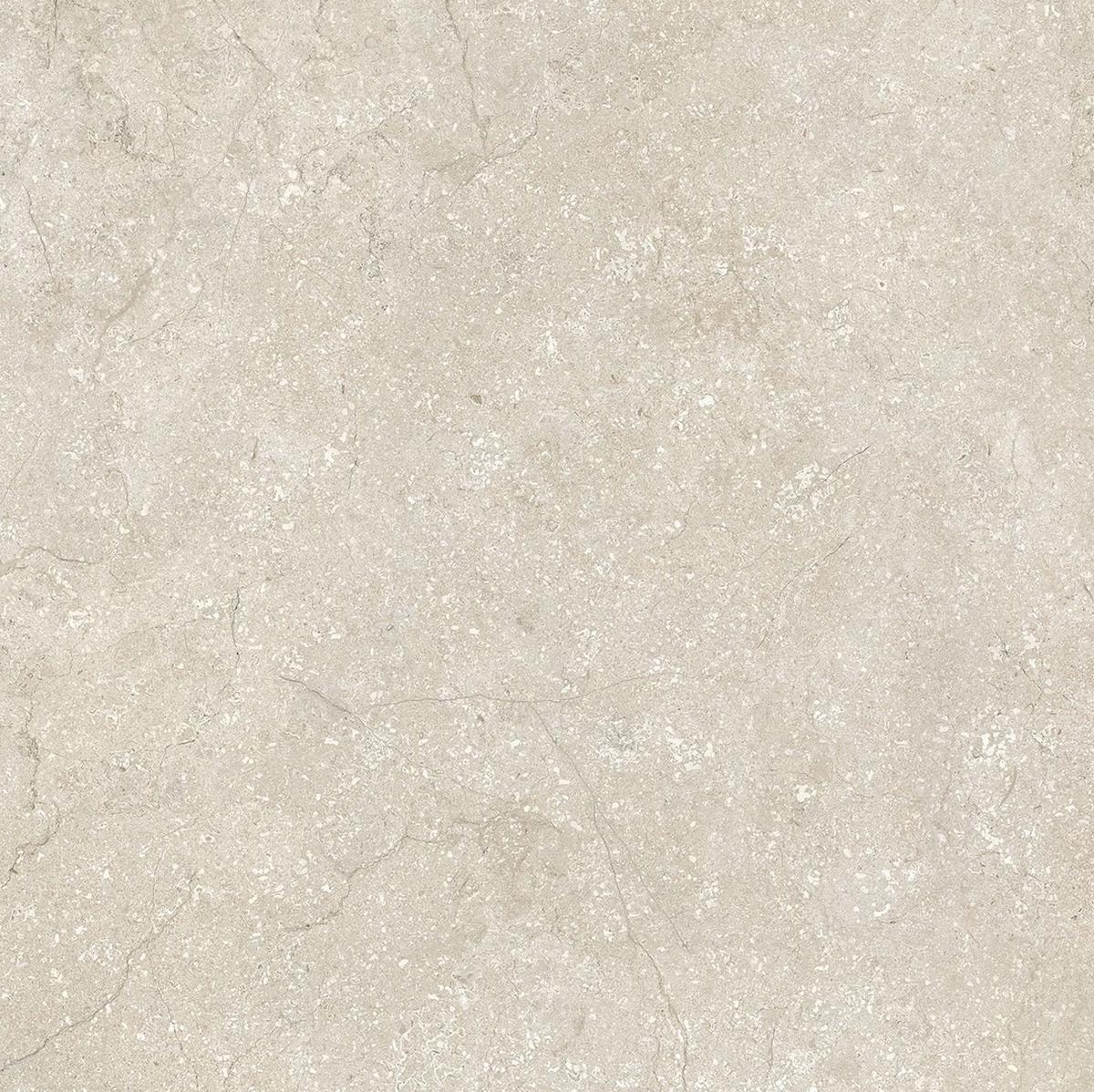  Stone Life Shell 9 Mm 60x60