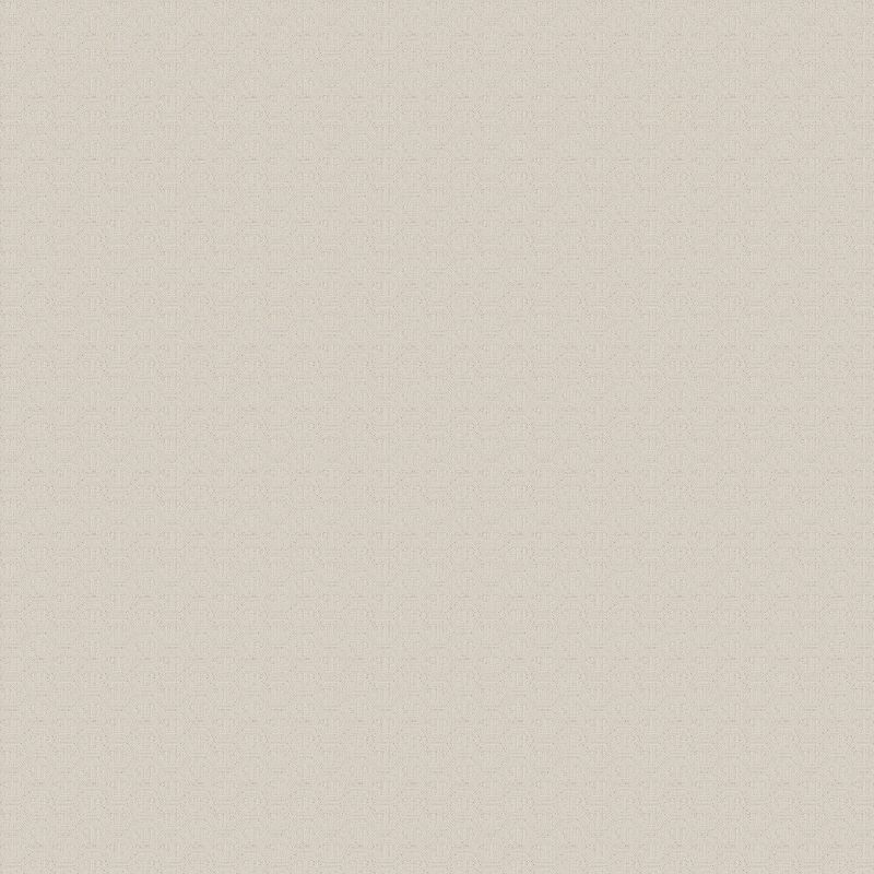 Виниловые обои Philipp Plein 1.06x10.05