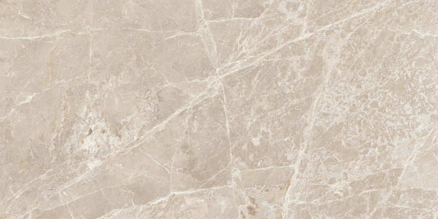  Мармостоун Норковый 60x120