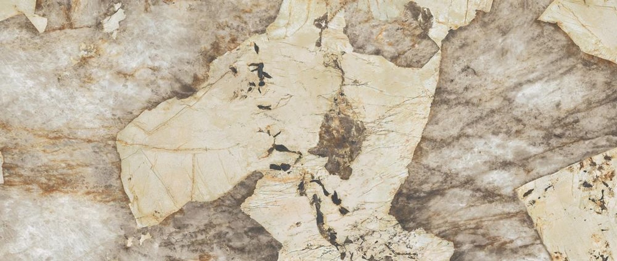  Marvel Gala Desert Soul Lapp 120x278