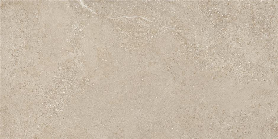 Керамогранит Arenite Natural Matt. 59.5x120