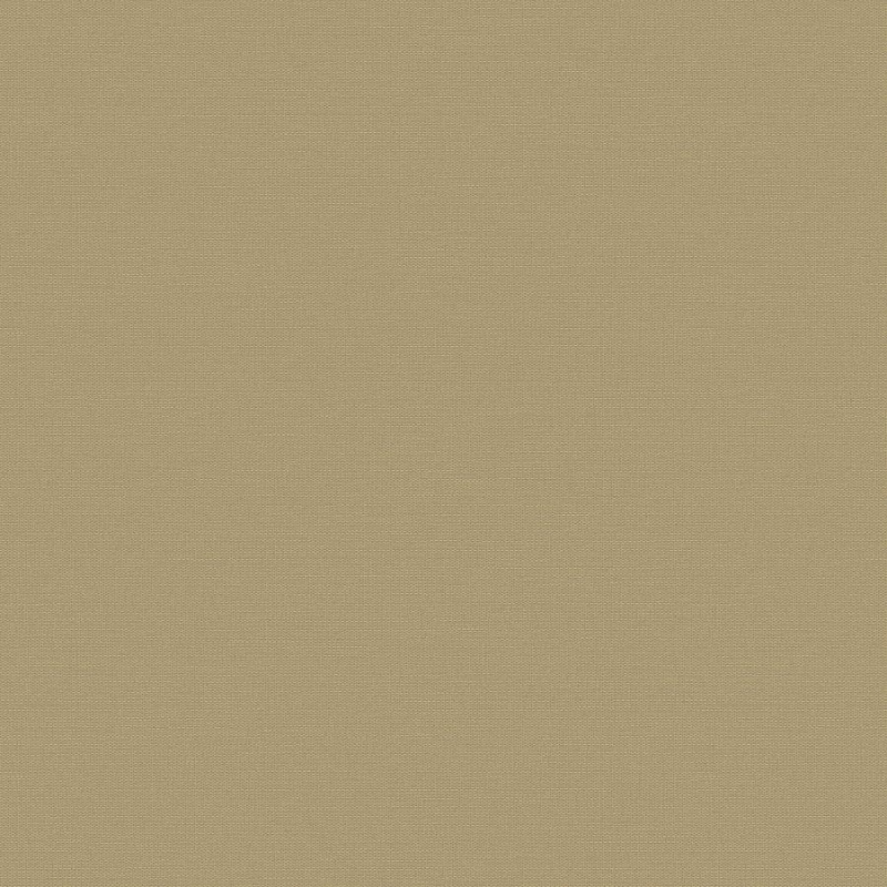 Флизелиновые обои Экватор 1x10.05