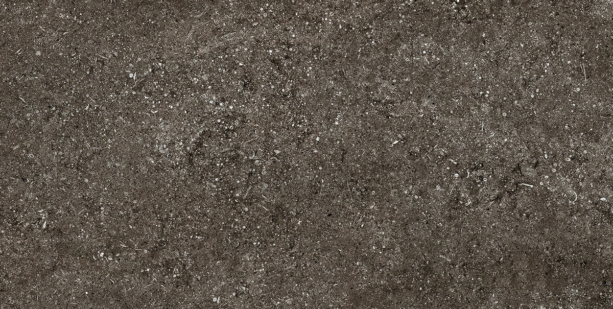 Керамогранит Magnum CDC Brown Fossil Naturale 6mm 60x120