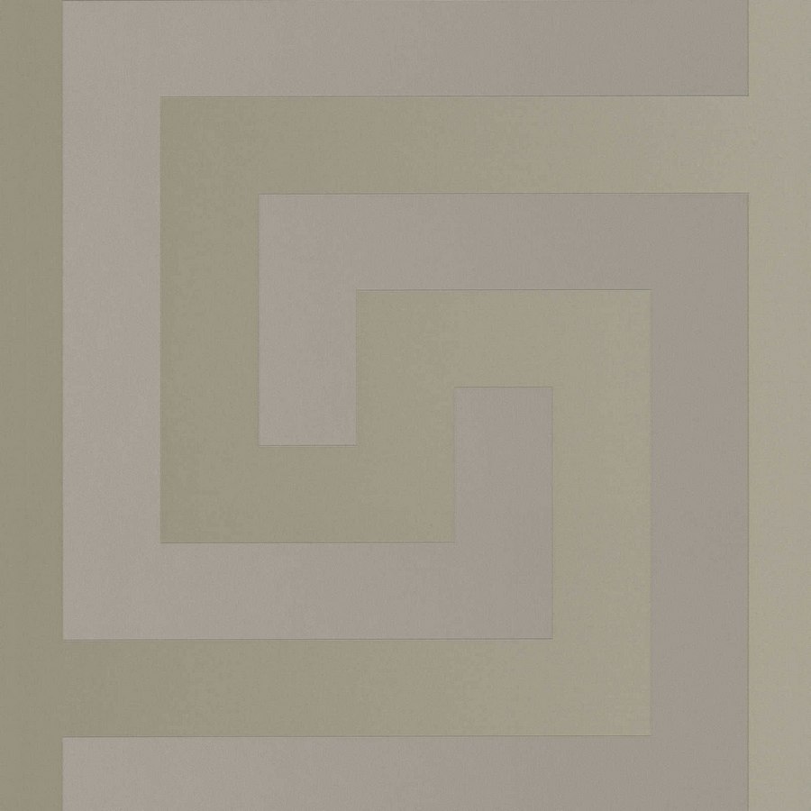 Виниловые обои Versace 5 0.7x10.05