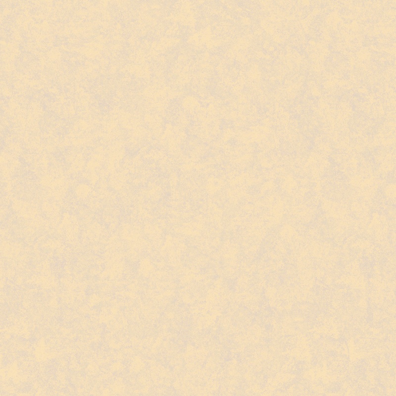 Флизелиновые обои Шейд 1x10.05