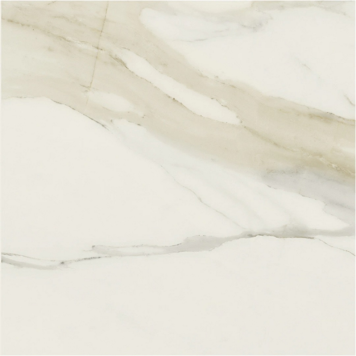 Керамогранит I Classici Di Rex Cal.Gold Matte Ret 80x80