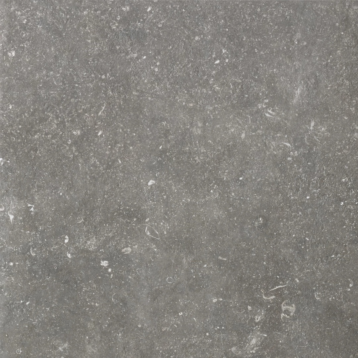 Керамогранит Atmospheres Atmospheres Charme Sable R10 80x80