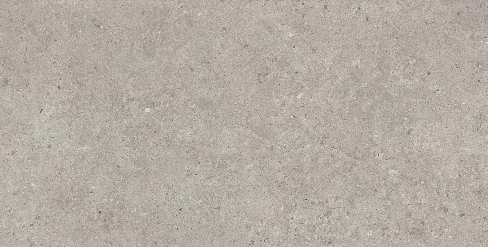 Керамогранит Риккарди Серый Светлый Матовый 60x119.5