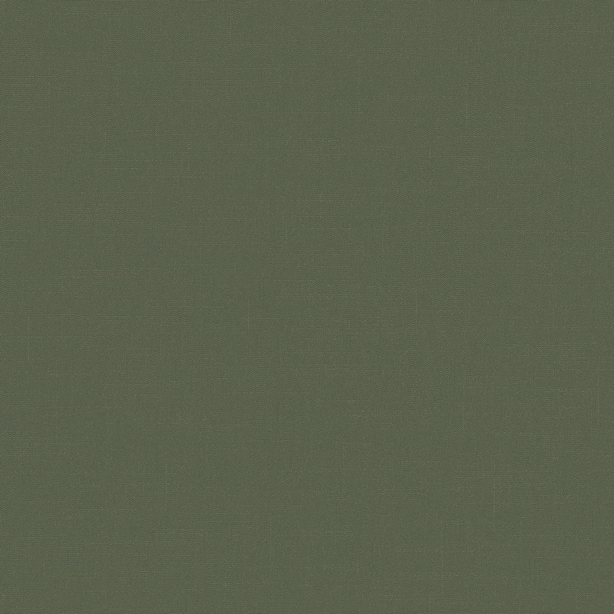 Флизелиновые обои Шервуд 1x10.05