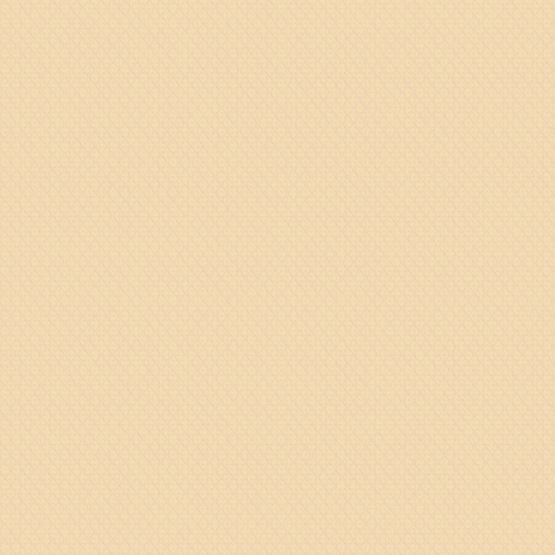 Флизелиновые обои НеоКлассика 1x10.05