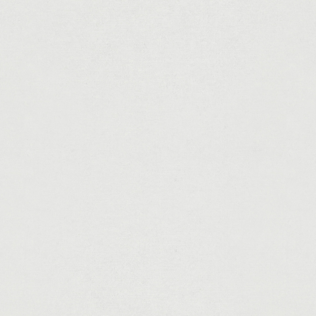 Виниловые обои Деликатный 1.06x10.05