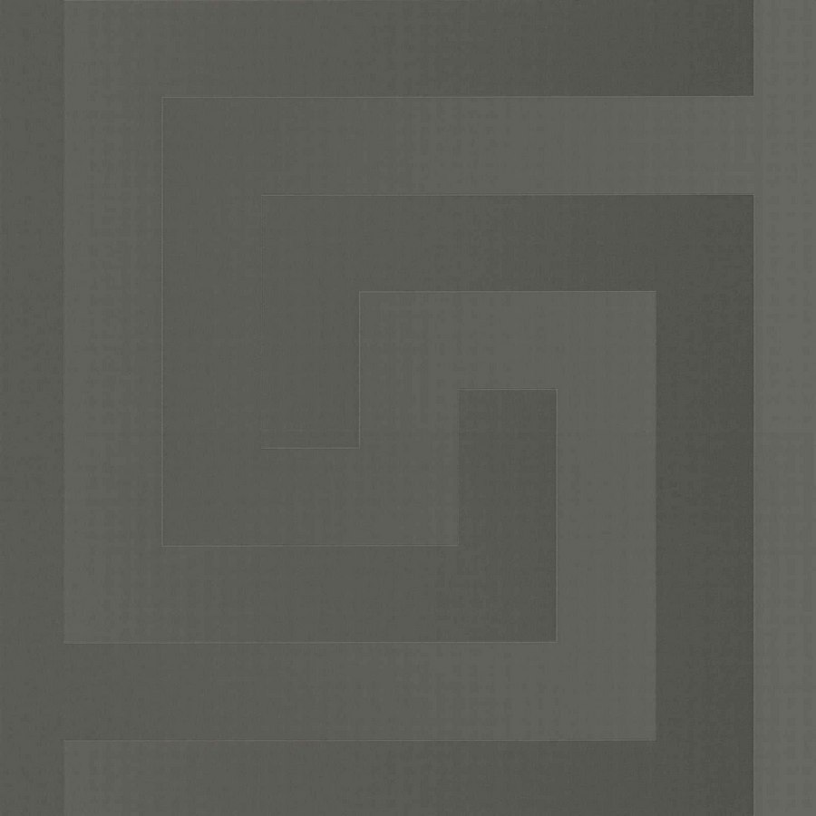 Виниловые обои Versace 5 0.7x10.05