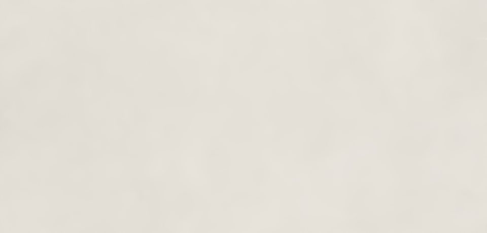 Керамогранит Экзотика Цемент Силк 60x120