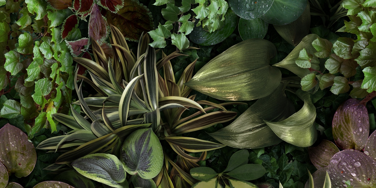 Керамическая плитка Paper41 Pro Jane B 50x100