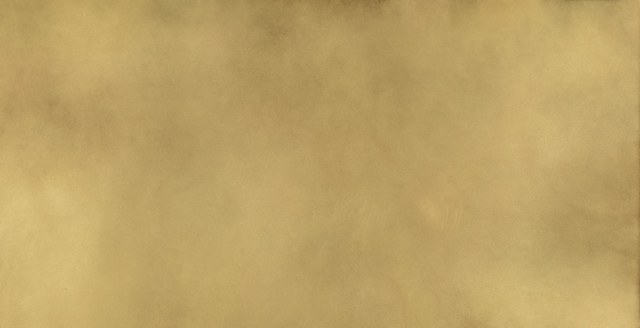  Континуум Бр.Голд Шл 80x160