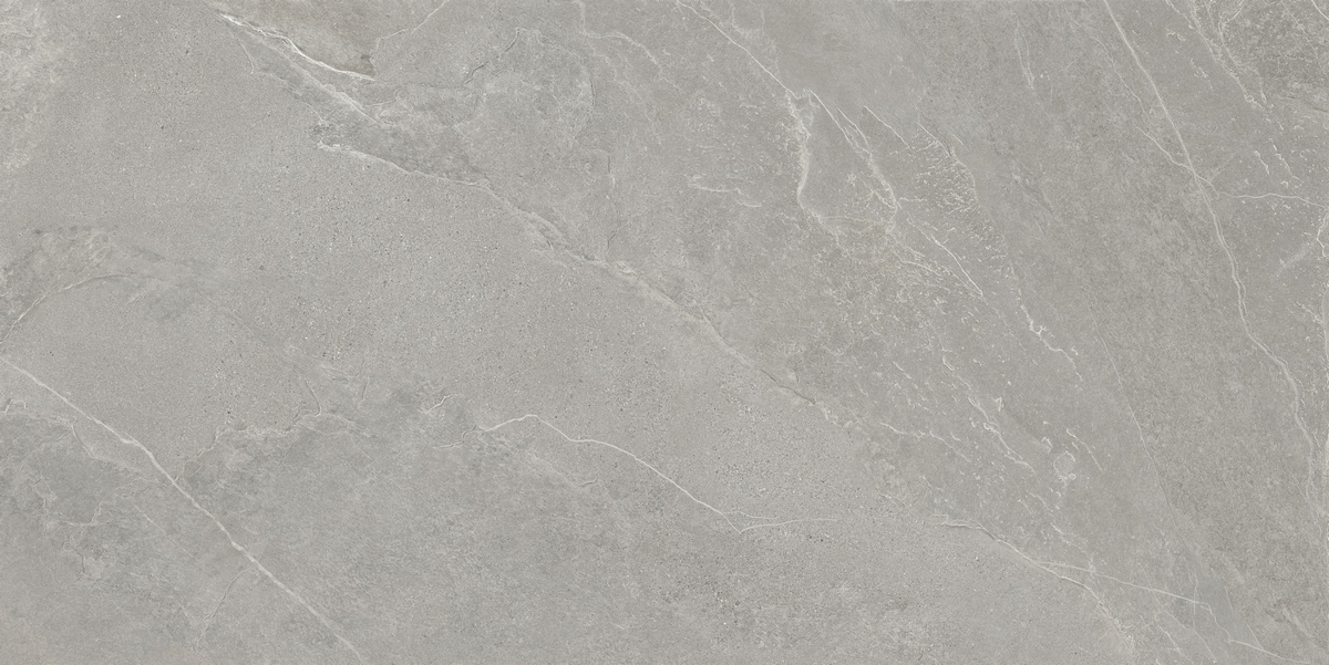 Керамогранит АрдэСтоун Серый Матовый 60x120