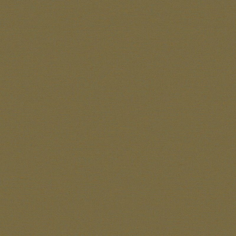 Флизелиновые обои Экватор 1x10.05