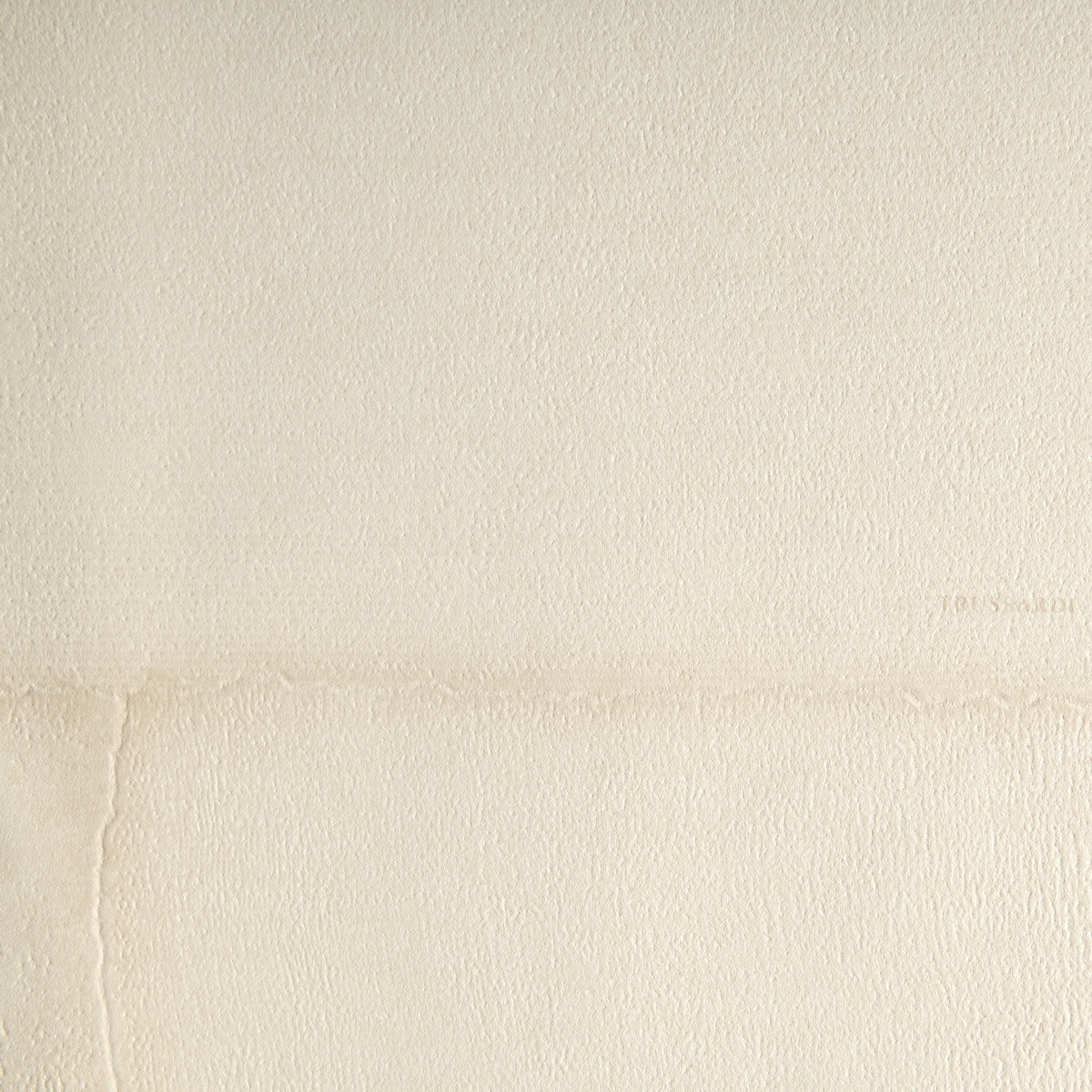 Виниловые обои Trussardi 8 0.7x10.05